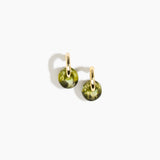 Small Splash Earrings