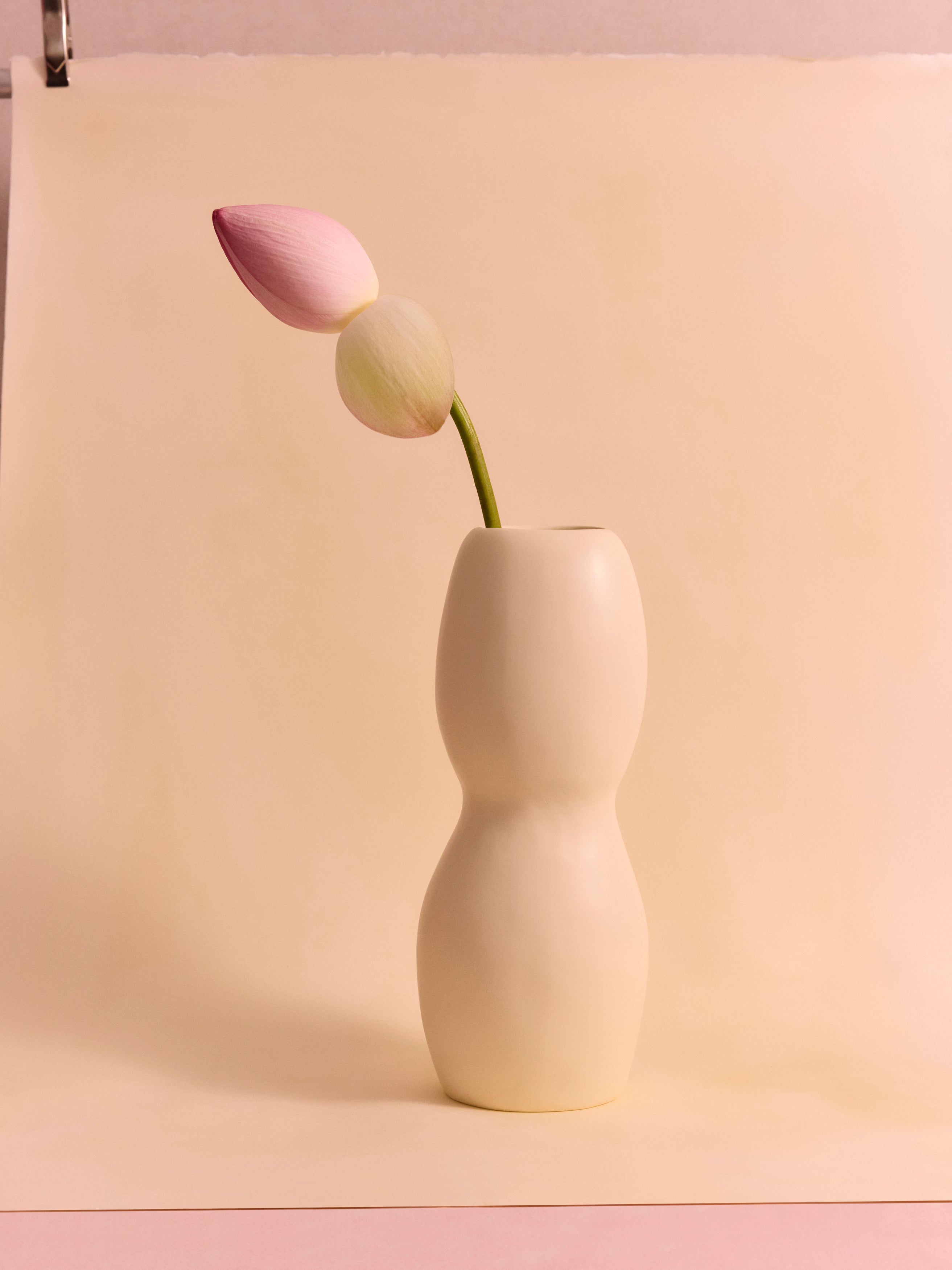 Cream coloured organic shaped vase with a single stem