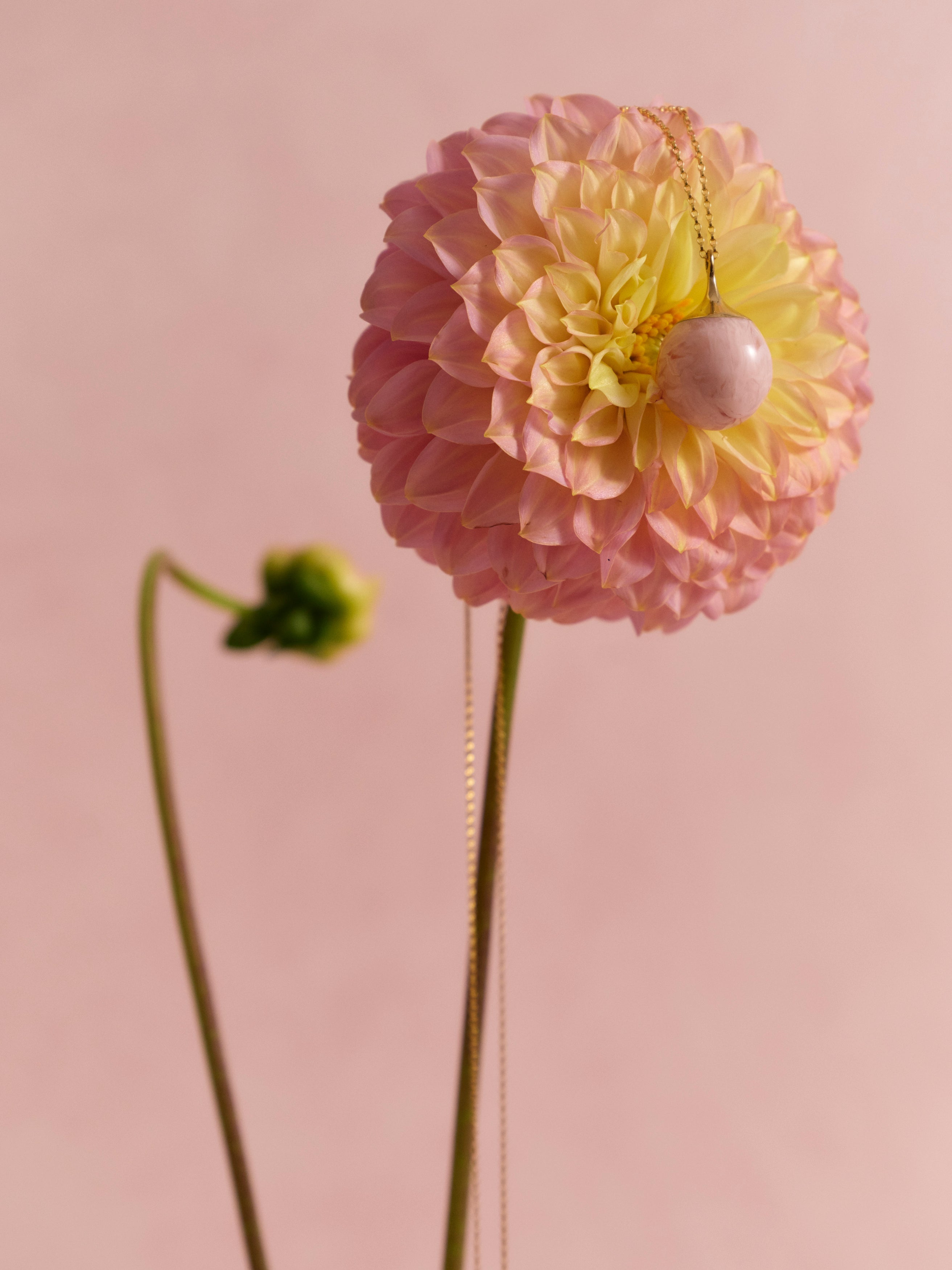 Pink resin necklace laid atop a pink and yellow flower on a pink background