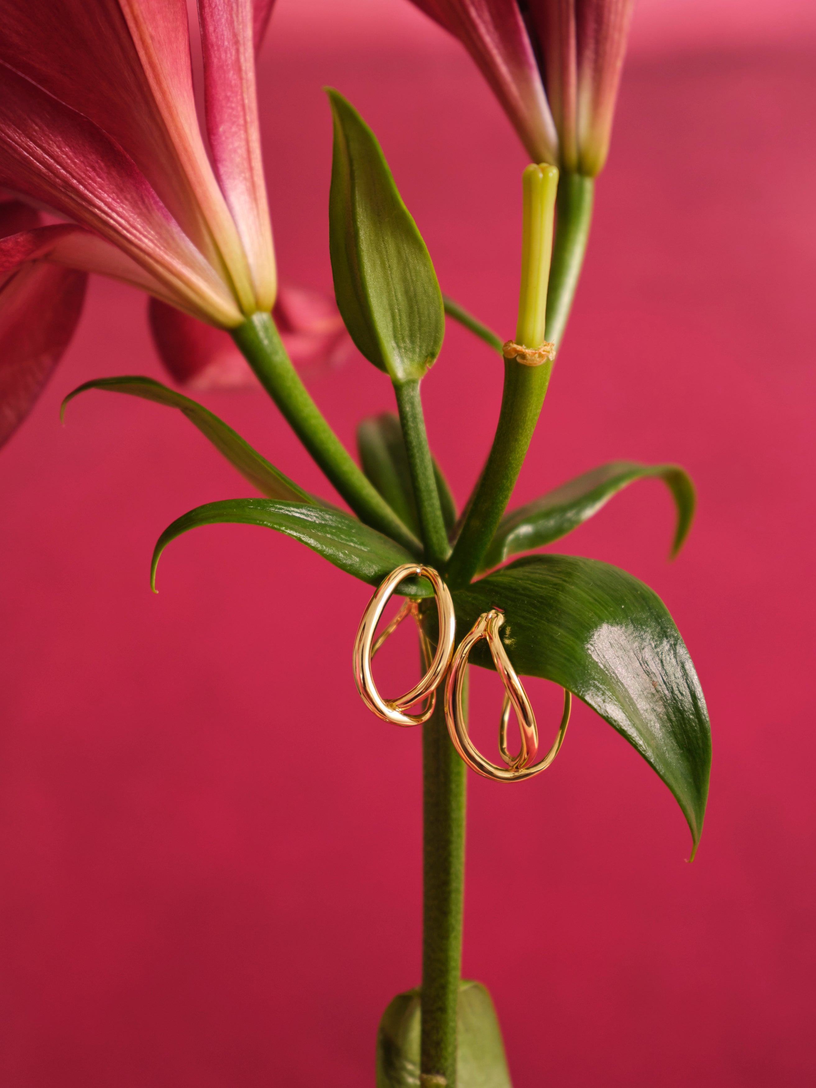Brass earrings hanging from a pink lily against a pink background