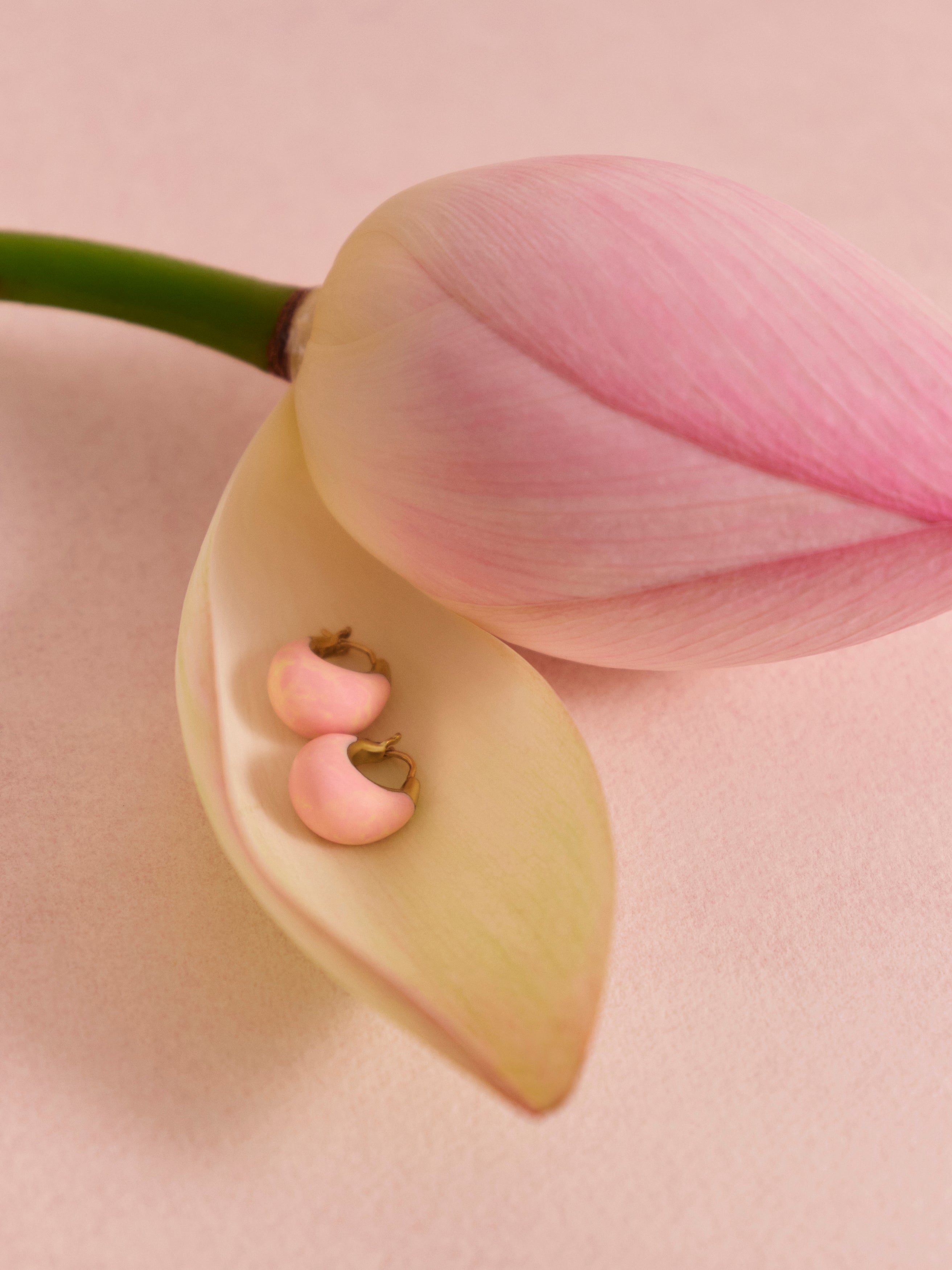 Pair of pink and brass resin hoop earrings in a flower petal