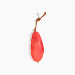 Dinosaur Designs KEYORGPEB Pebble Keyring LYCHEE