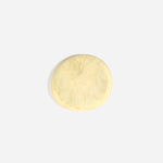 Dinosaur Designs MISTEMCST Temple Coaster LEMON