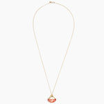 Dinosaur Designs Polished Lotus Chain Pendant in Rust with Gold-Fill hardware — marbled brown-red and cream resin half-crescent pendant on a fine gold-fill chain with clasp