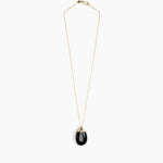 Dinosaur Designs Medium River Rock Pendant in Black color resin with Gold-Filled Material