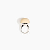 Round Watercolor Ring