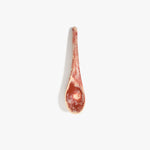 Dinosaur Designs Large Shell Spoon in Rust — handcrafted marbled terracotta red and cream resin spoon with slender tapered handle