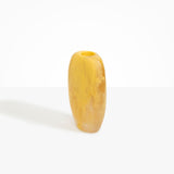 Dinosaur Designs VASSSBOLD Bold Skipping Stone Vase POLLEN.