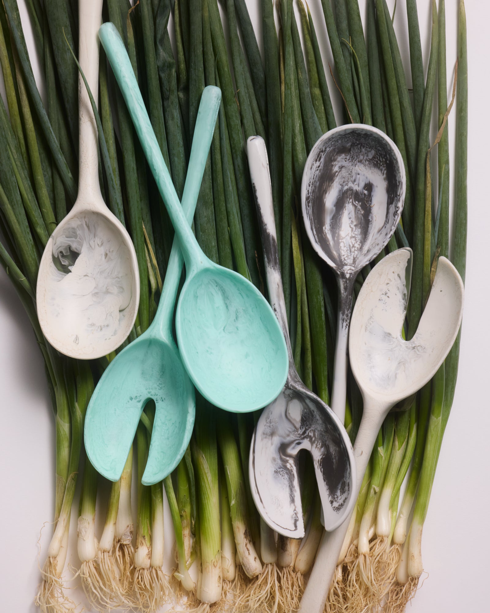 Lichen | New Collection Homewares | Dinosaur Designs US