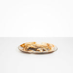 Dinosaur Designs Large Temple Platter in Light Horn color resin