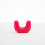 Dinosaur Designs Small Branch Vase Vases in Flamingo color resin