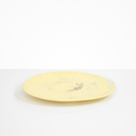 Dinosaur Designs Long Temple Platter in Lemon Colour resin
