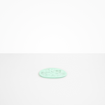 Dinosaur Designs Temple Side Plate in Mint Colour resin.