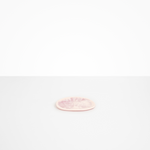 Dinosaur Designs Temple Side Plate in Shell Pink Colour resin..