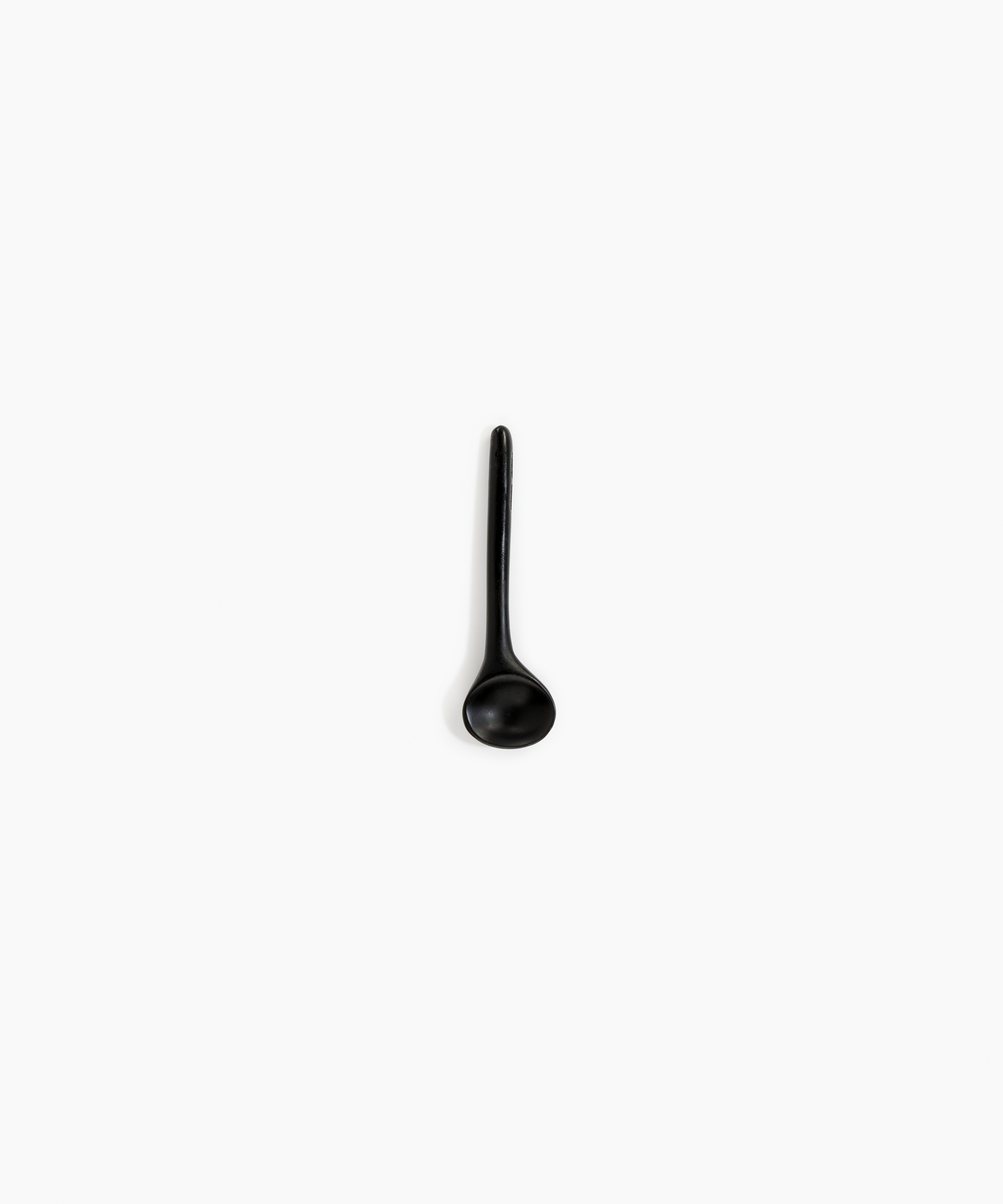 Dinosaur Designs Temple Spoon in Black Colour resin.
