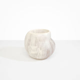 Dinosaur Designs Large Moss Vase in Chalk Swirl color resin