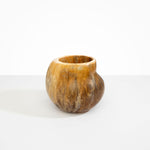 Dinosaur Designs Large Moss Vase in Light Horn color resin
