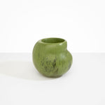 Dinosaur Designs Large Moss Vase in Olive color resin
