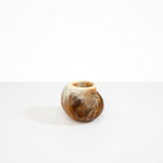 Dinosaur Designs Medium Moss Vase Light Horn..