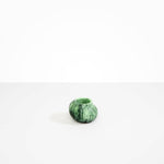 Dinosaur Designs Small Moss Vase Moss...