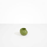 Small Moss Vase