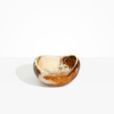 Dinosaur Designs Large Beetle Bowl in Light Horn Colour resin