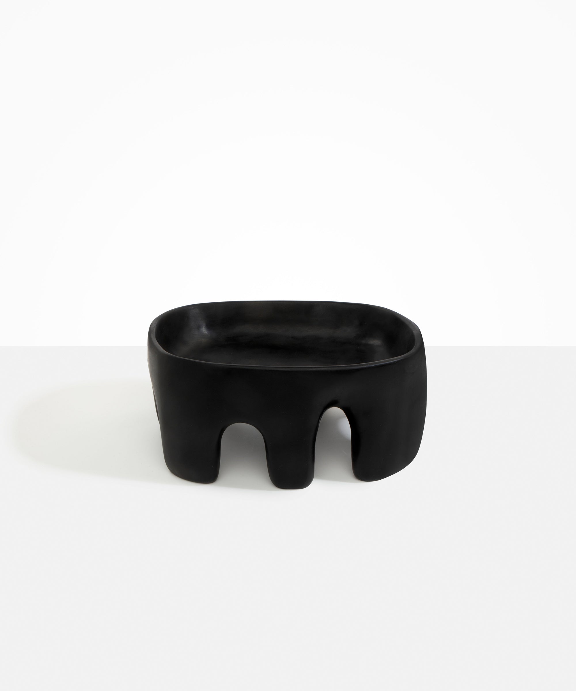 Dinosaur Designs Large Branch Bowl in Black Colour resin..