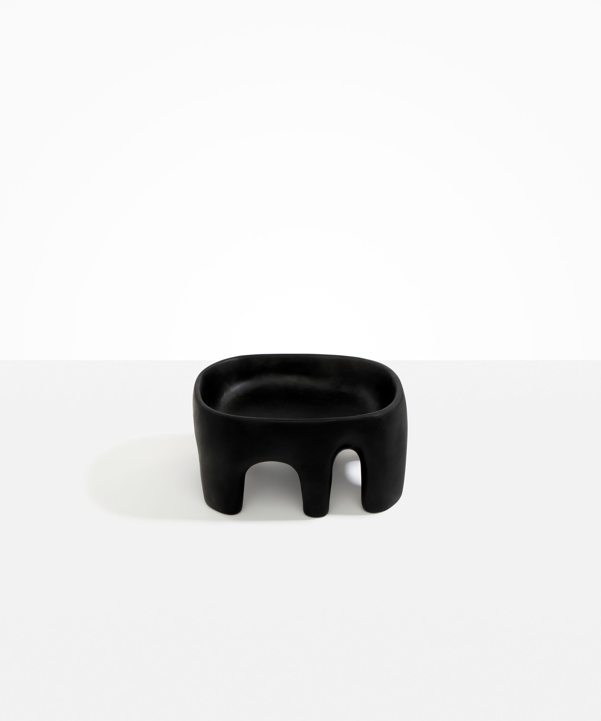 Dinosaur Designs Medium Branch Bowl in Black Colour resin..