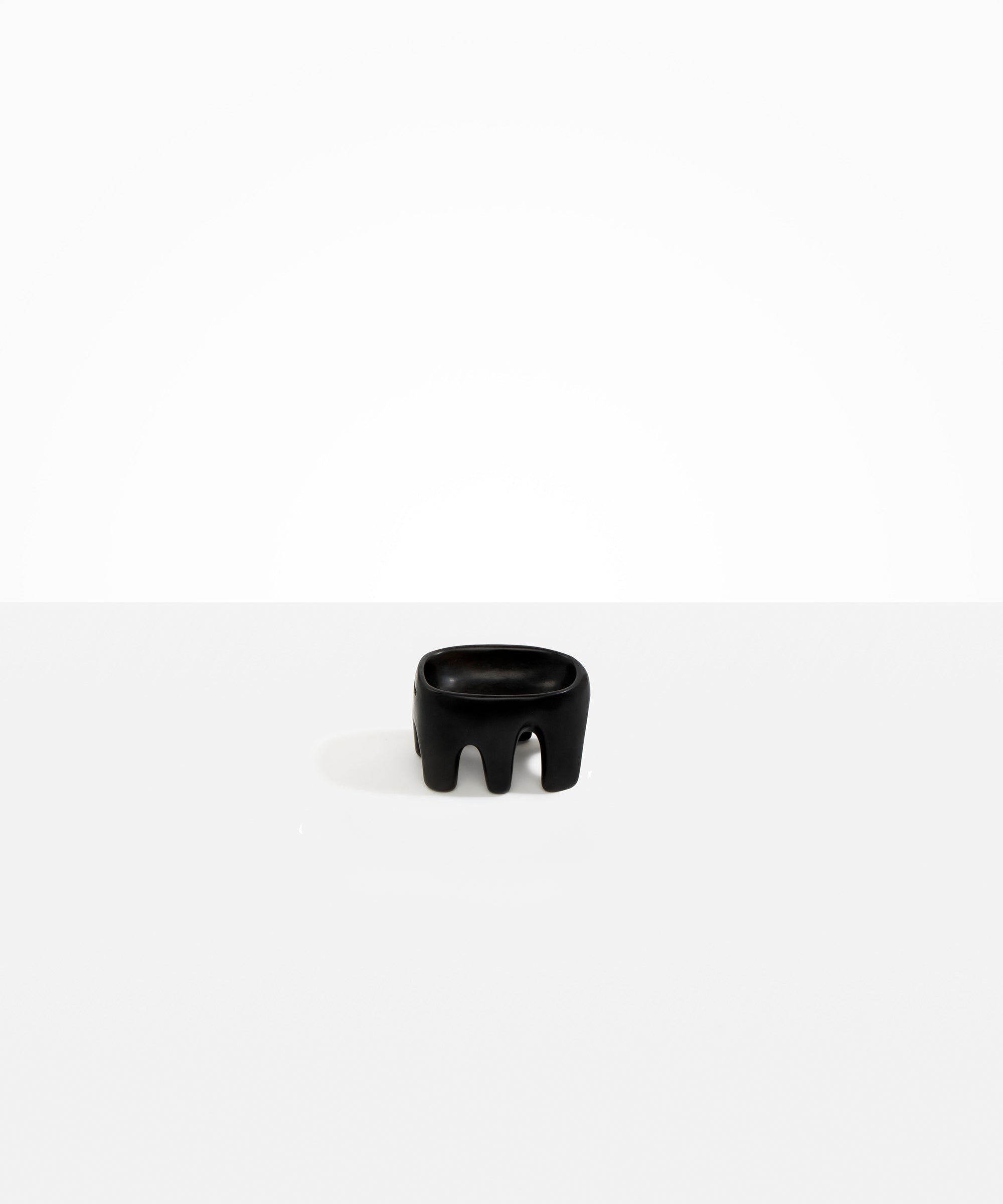 Dinosaur Designs Small Branch Bowl in Black color resin