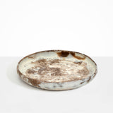 Dinosaur Designs Grand Earth Bowl in Cappuccino Colour resin..