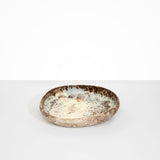 Dinosaur Designs Medium Earth Bowl in Cappuccino Colour resin.