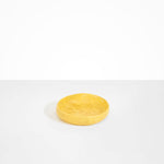 Dinosaur Designs Small Earth Bowl Bowls in Pollen Colour resin