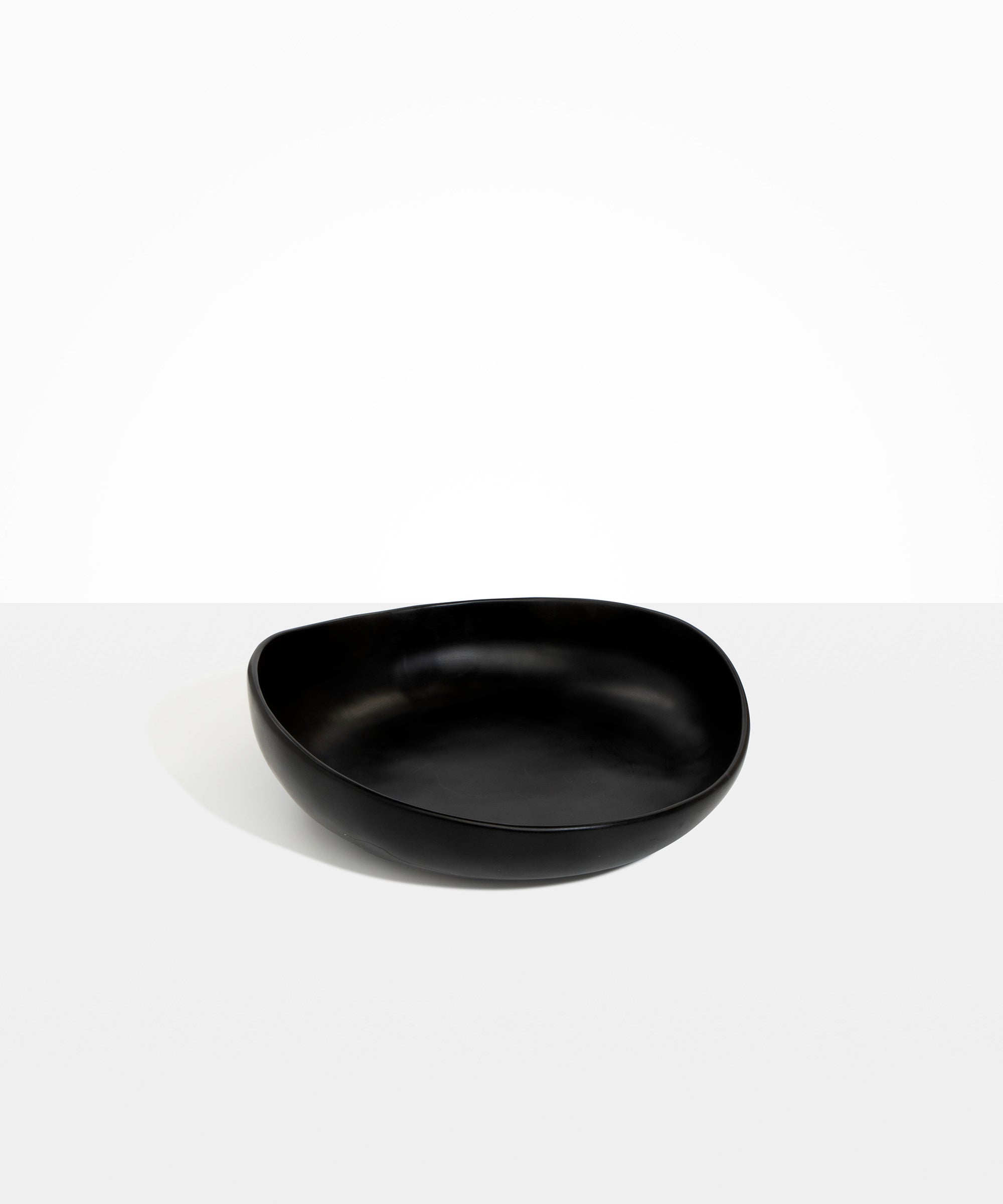Dinosaur Designs Medium Flow Bowl in Black Colour resin.