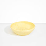 Dinosaur Designs Large Salad Bowl Bowls in Lemon color resin