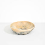 Dinosaur Designs Large Salad Bowl Bowls in Sandy Pearl color resin