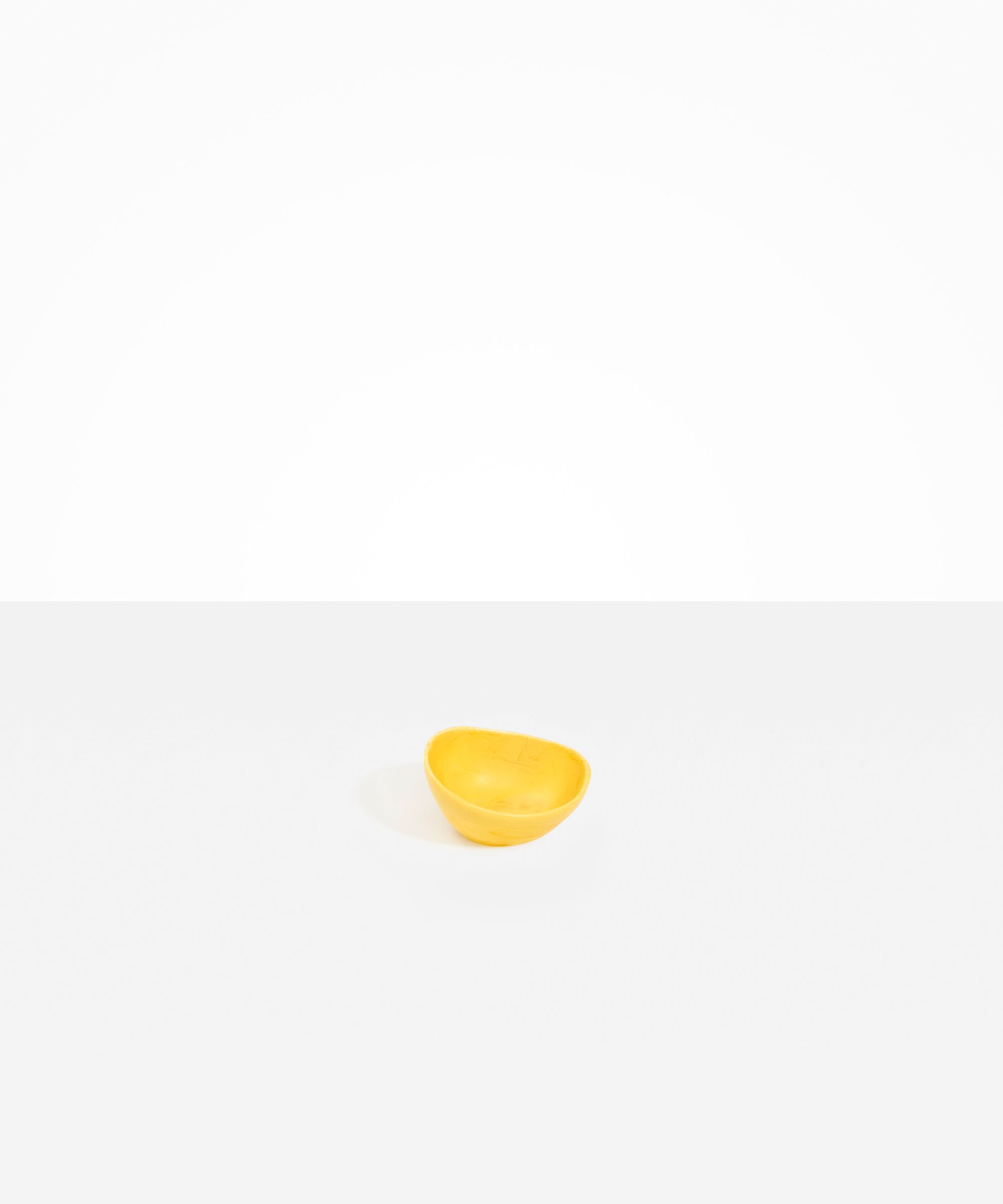 Dinosaur Designs Slate Ring in Tortoise Colour resin with Regular Fit.