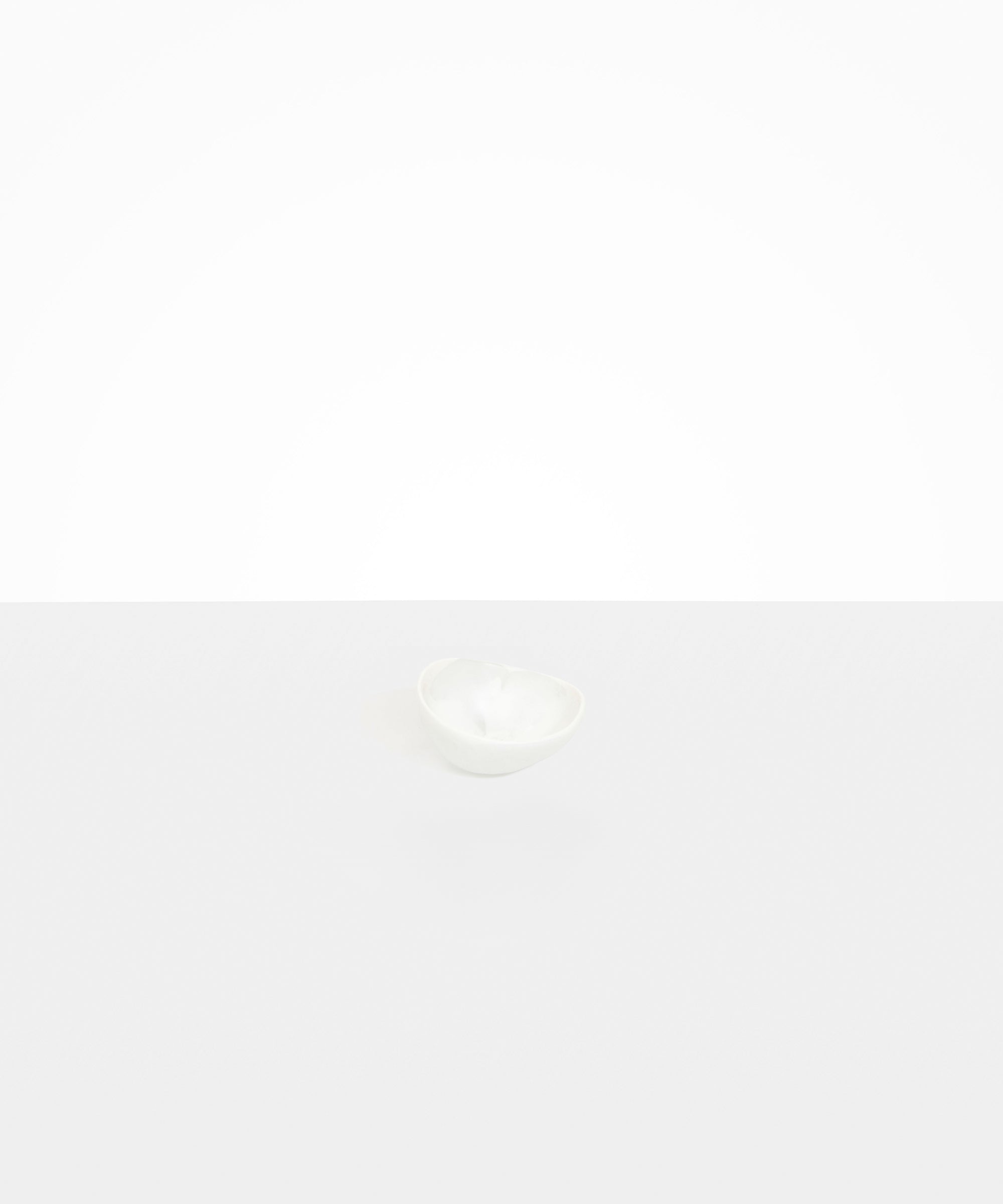 Dinosaur Designs Flow Spice Dish Tableware in Snow Swirl Colour resin