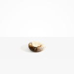 Dinosaur Designs Medium Drift Dish Tableware in Light Horn Colour resin