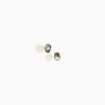 Dinosaur Designs Bones Stud Earrings in Granite Colour resin with Silver-Plated Brass Material.