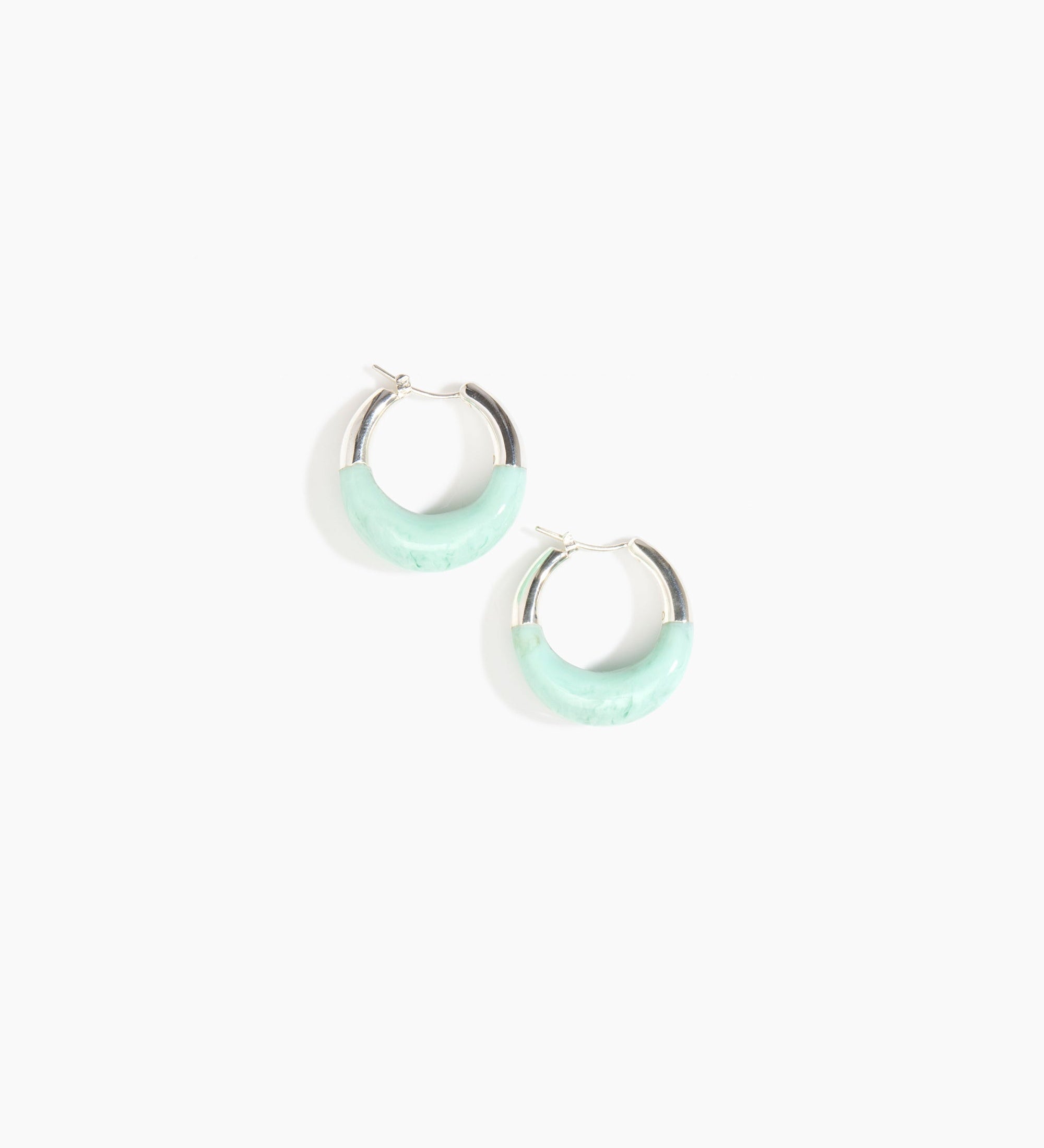 Small Horn Hoop Earrings