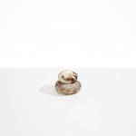 Dinosaur Designs JARPEBMED medium pebble jar CAPPUCCINO 