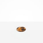 Dinosaur Designs Boulder Coaster in Dark Horn Colour resin.