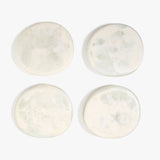Dinosaur Designs MISTEMCST temple coaster CHALK SWIRL
