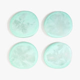 Dinosaur Designs MISTEMCST temple coaster MINT 