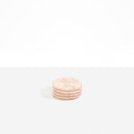 Dinosaur Designs MISTEMCST temple coaster STRAWBERRY ...