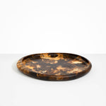Dinosaur Designs Rock Tray in Dark Horn color resin