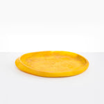 Dinosaur Designs Rock Tray in Honeycomb color resin