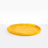 Dinosaur Designs Rock Tray in Honeycomb Colour resin