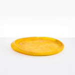 Dinosaur Designs Rock Tray in Honeycomb Colour resin.