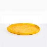 Dinosaur Designs Rock Tray in Honeycomb Colour resin.